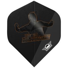 Dirk van Duijvenbode E2 NO2 - Dart Flights