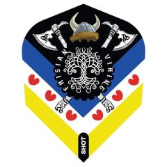 Shot Jitse van der Wal NO6 - Dart Flights